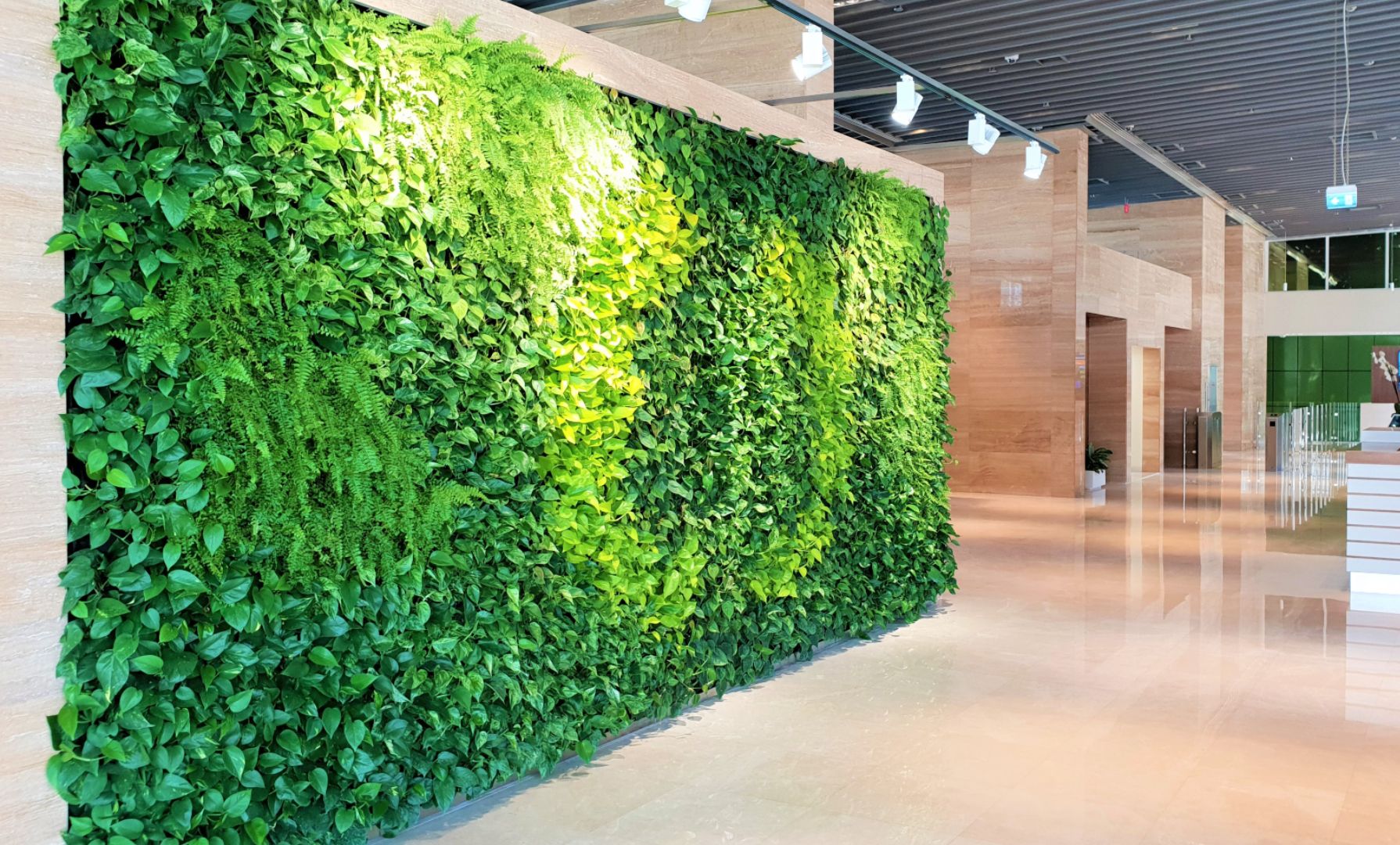 Your Ulimate Guide to Green Walls in Dubai Planters
